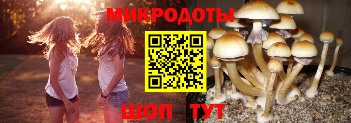 Нефтекамск  Галлюциногенные грибы GOLDEN TEACHER  купить  цена  Галлюциногенные грибы GOLDEN TEACHER  Вход с VPN 